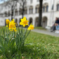 Erkunden Sie die Ludwig-Maximilians-Universität München: Ein umfassender Leitfaden für das Studium in Europa