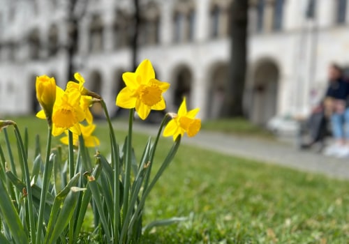 Erkunden Sie die Ludwig-Maximilians-Universität München: Ein umfassender Leitfaden für das Studium in Europa